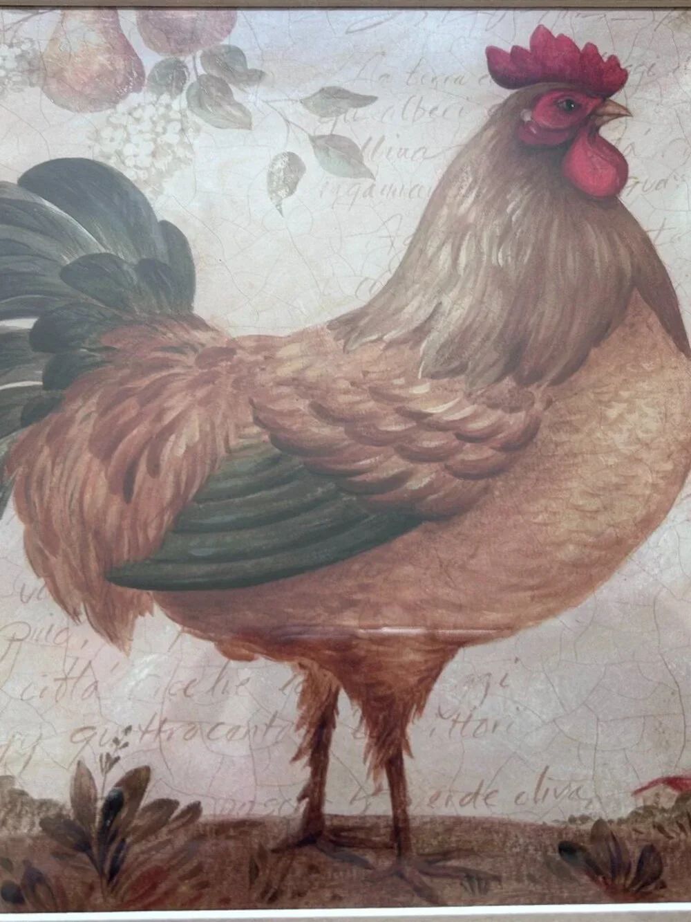 Framed Rooster Wall Art